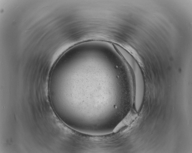 X0000088030904200705182022