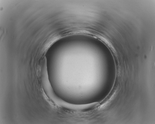 X0000088030905200705182022