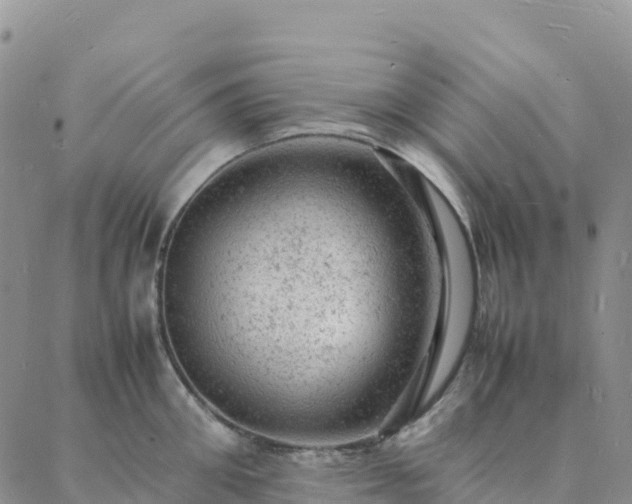 X0000088030906200705182022