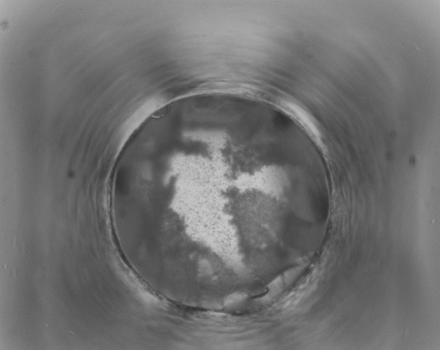 X0000088030907200705182022