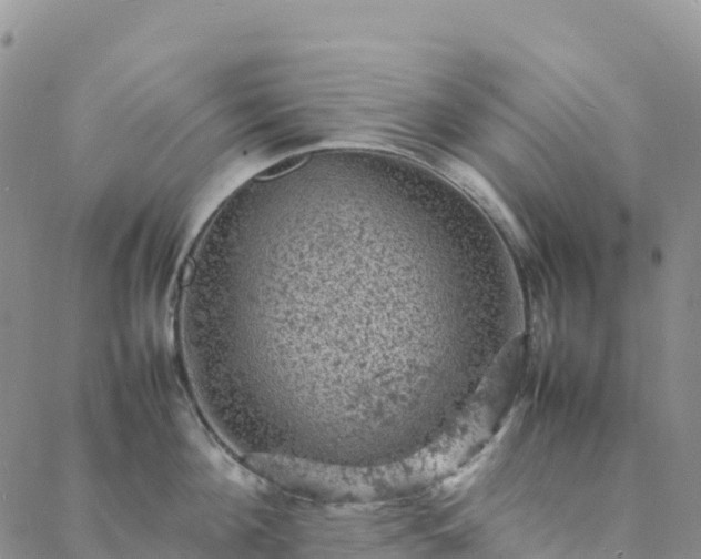 X0000088030908200705182022