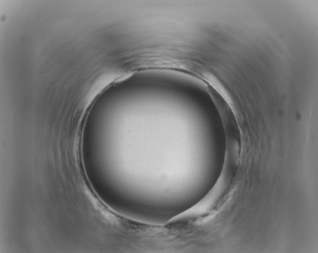 X0000088030909200705182022