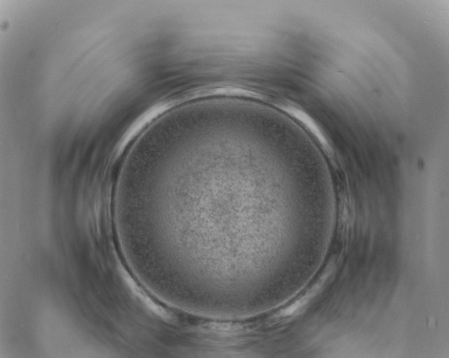 X0000088030910200705182022