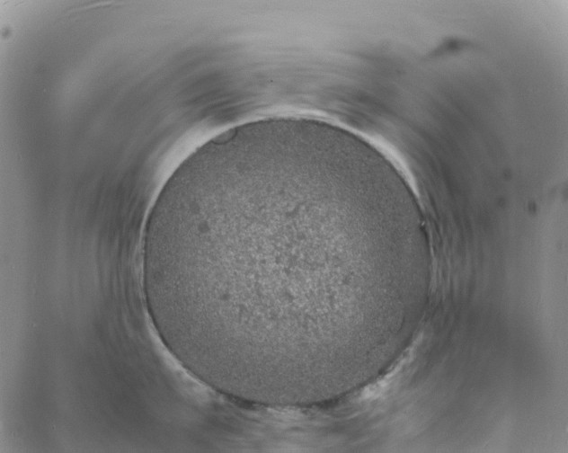 X0000088030911200705182022