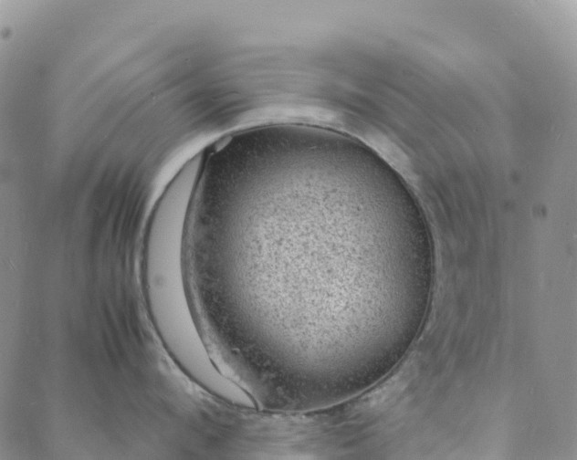 X0000088030912200705182022