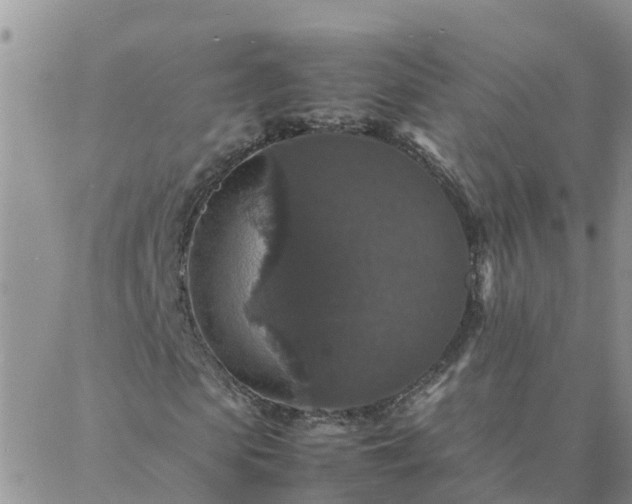 X0000088030913200705182021