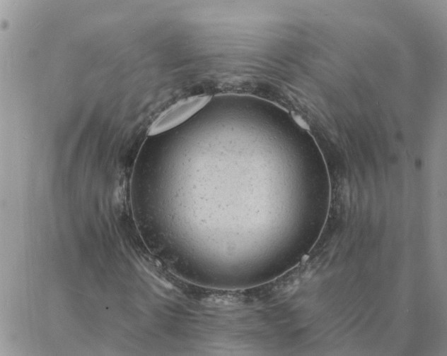 X0000088030914200705182021