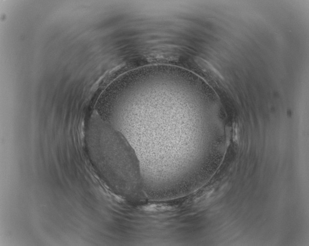 X0000088030915200705182021