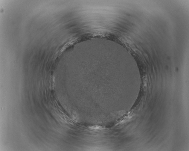 X0000088030916200705182021