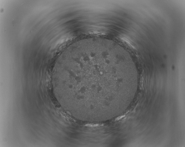 X0000088030917200705182021