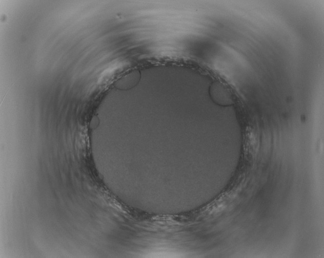 X0000088030918200705182021