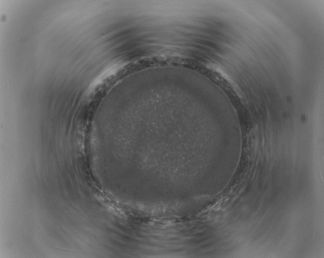 X0000088030919200705182021