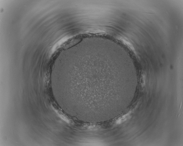 X0000088030920200705182021