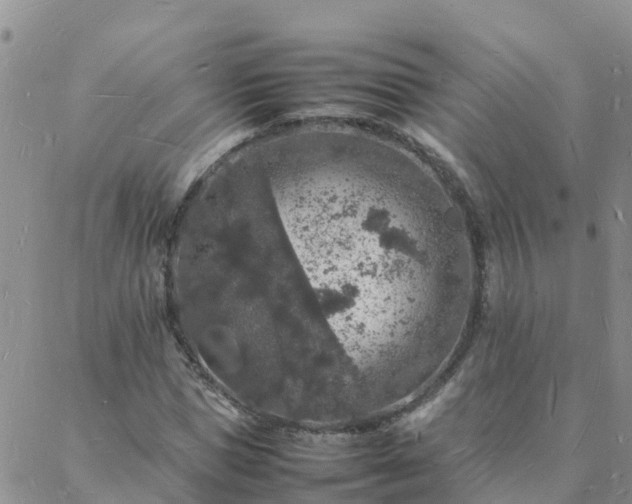 X0000088030921200705182021