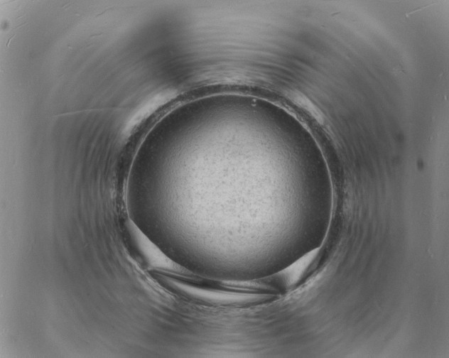 X0000088030922200705182021