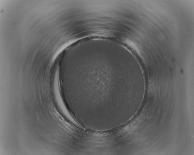 X0000088030923200705182021