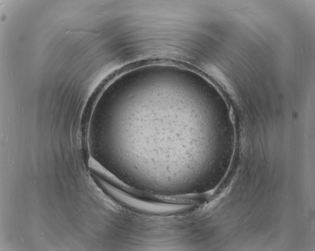 X0000088030924200705182021