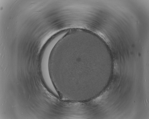 X0000088030926200705182022