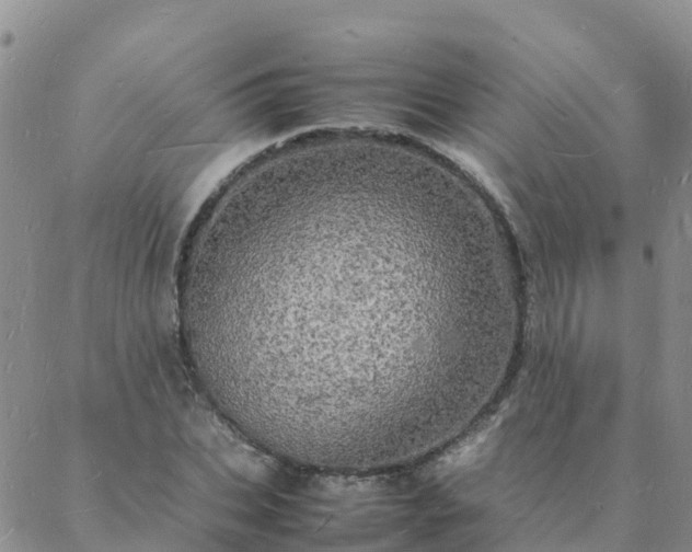 X0000088030927200705182022