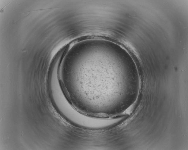 X0000088030928200705182022