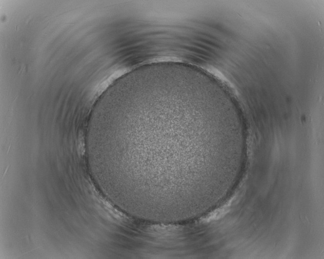 X0000088030929200705182022