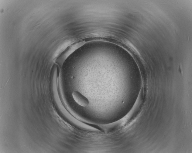 X0000088030930200705182022