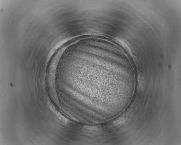 X0000088030931200705182022