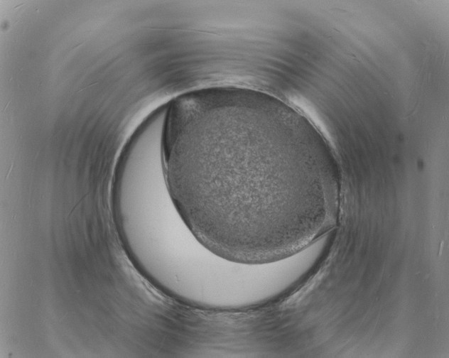 X0000088030932200705182022