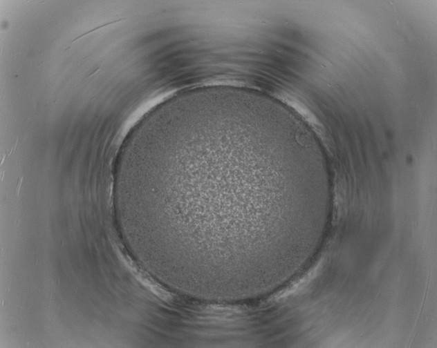 X0000088030933200705182022