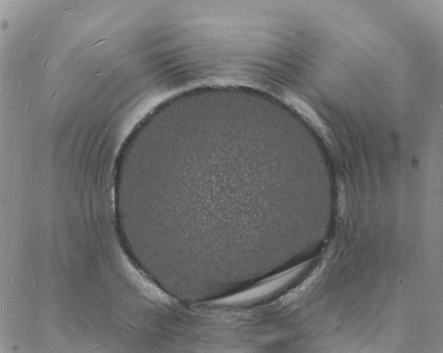 X0000088030934200705182022