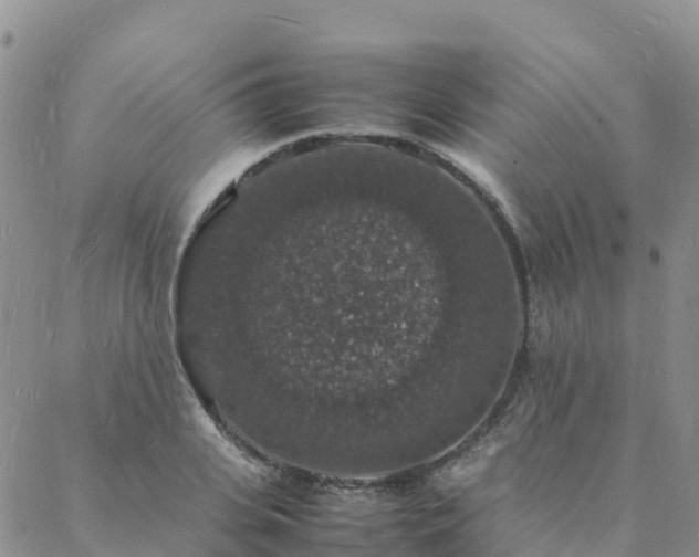 X0000088030935200705182022