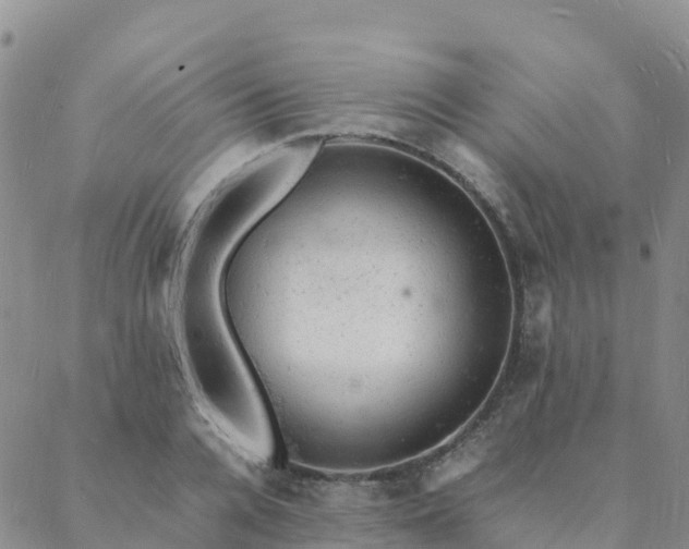 X0000088030936200705182022