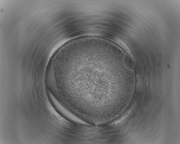 X0000088030939200705182022