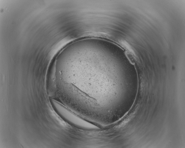 X0000088030940200705182022