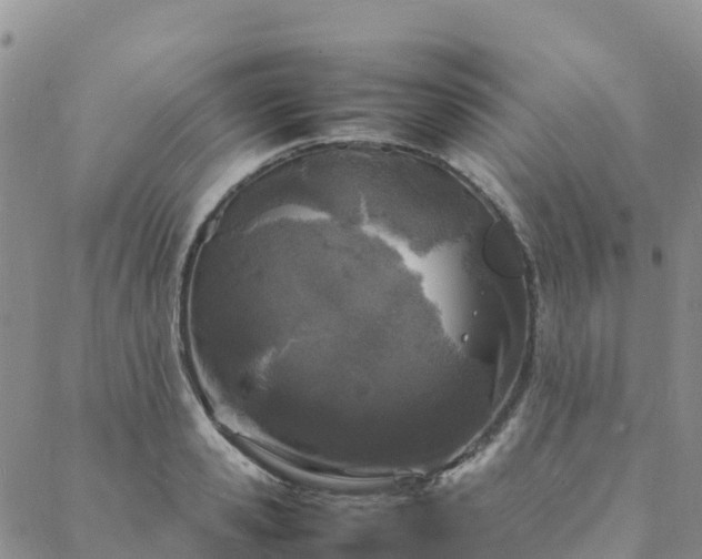 X0000088030941200705182022