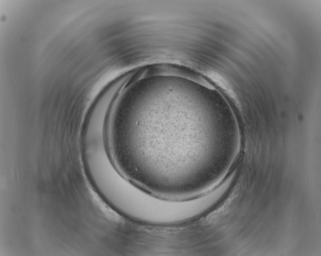 X0000088030942200705182022