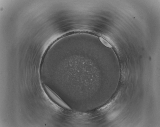 X0000088030943200705182022