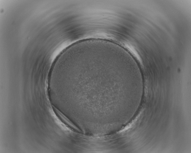 X0000088030944200705182022