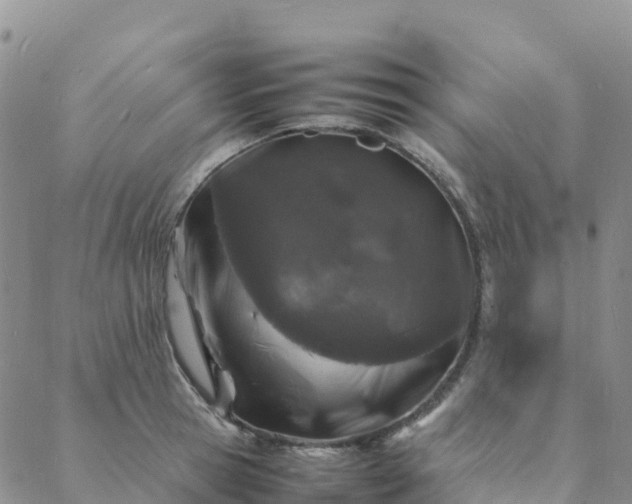 X0000088030945200705182022