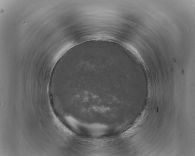 X0000088030946200705182022