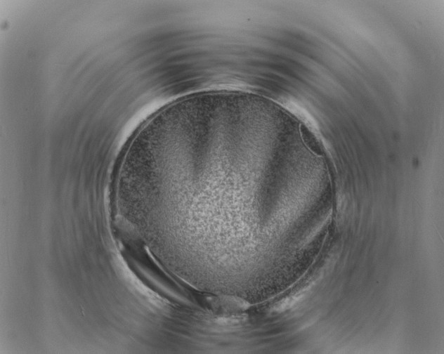 X0000088030947200705182022