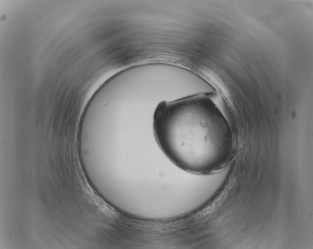 X0000088030948200705182022