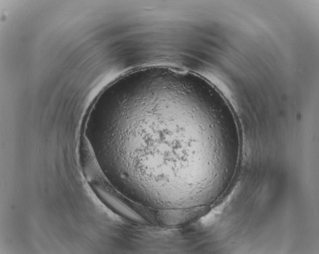 X0000088030949200705182022