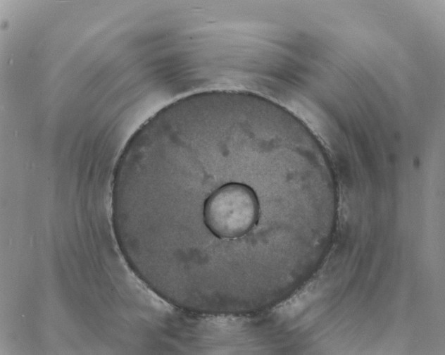 X0000088030950200705182022