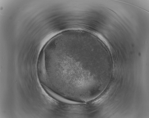 X0000088030951200705182022