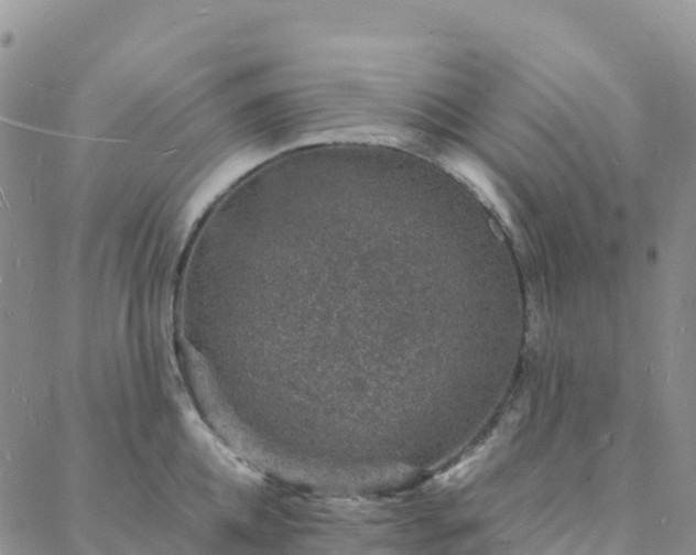 X0000088030952200705182022