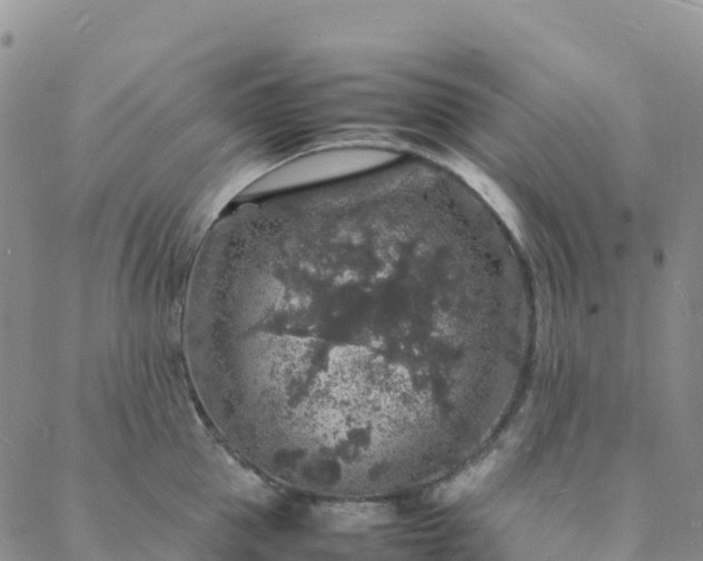 X0000088030953200705182022