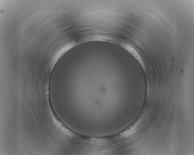 X0000088030954200705182022