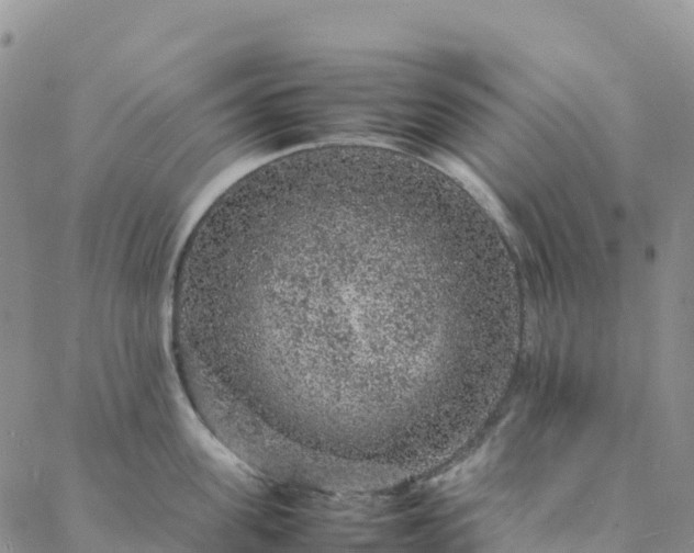 X0000088030955200705182022