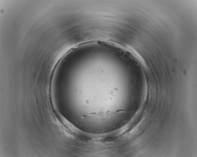 X0000088030956200705182022